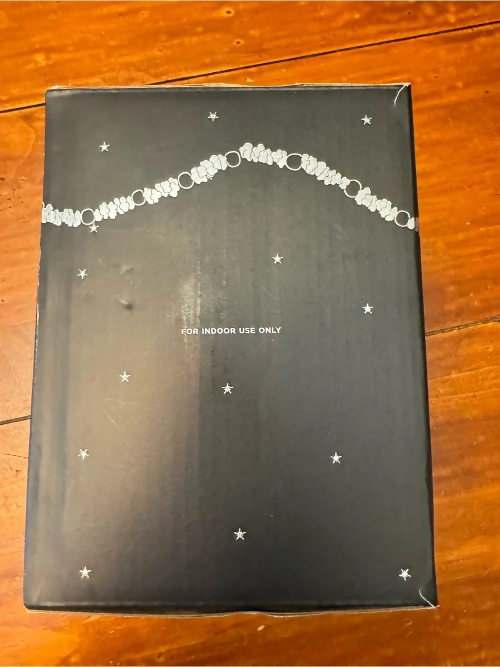 Pottery Barn Popcorn and Cranberry Lights Battery Powered 9 feet Christmas Decor
